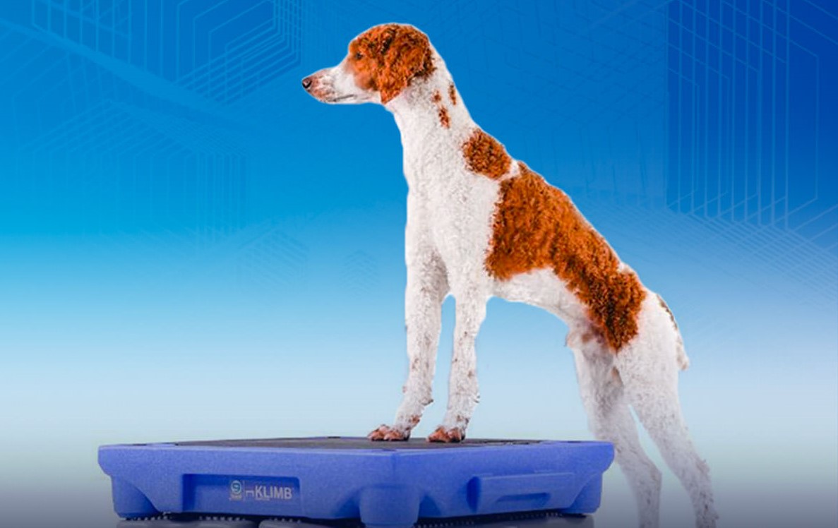 J&j dog training top