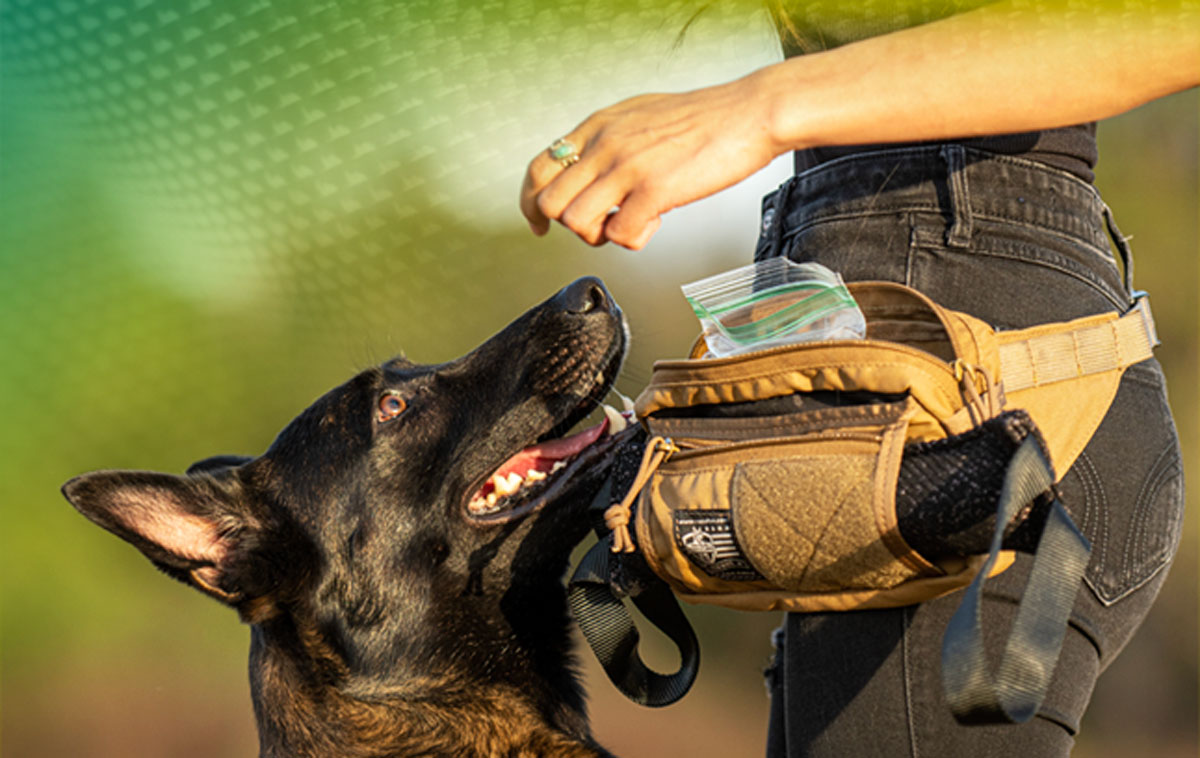 J&J Dog Supplies - Designed for Dog Training: The Dog Trainer Fanny Pack