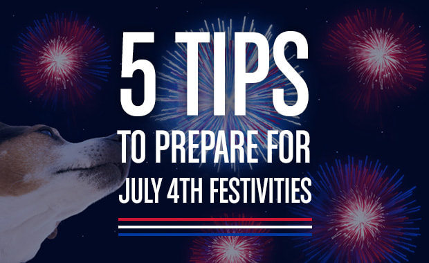 J&J Dog Supplies: Preparing Your Anxious Dog For Fireworks