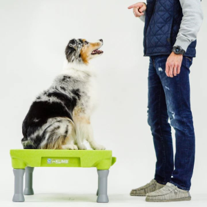 Elevate Your Dog Training: Pause Tables & Platforms