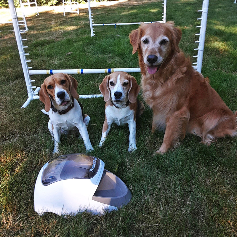 J&J Dog Supplies: Weekly Paws Winner - Linda Kriegel & Midge