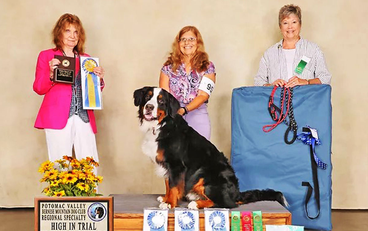 J&J Dog Supplies: Weekly Paws Winner - Robin Korotki & Hero